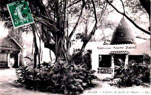 Alger - Jardin des Plantes - Entree - 1909